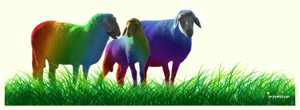 Footer Schafe im Gras